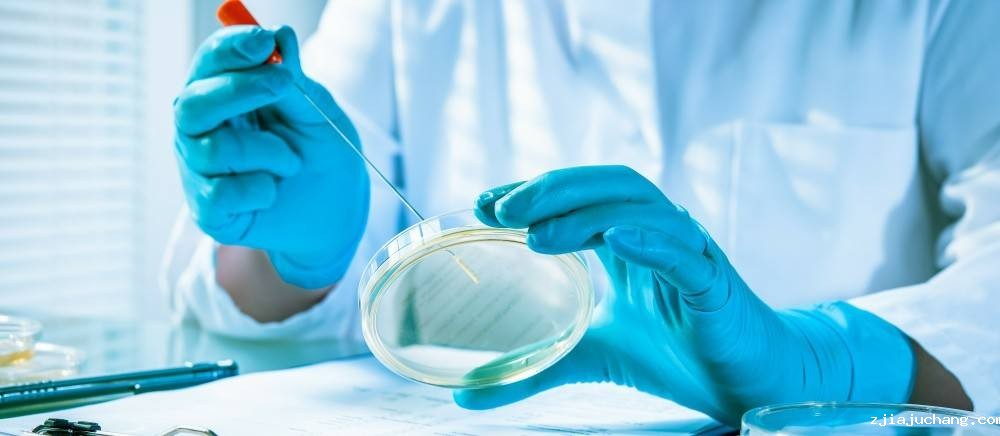 喜瓶者菲尔特华体会如何解决微生物实验室清洗难题